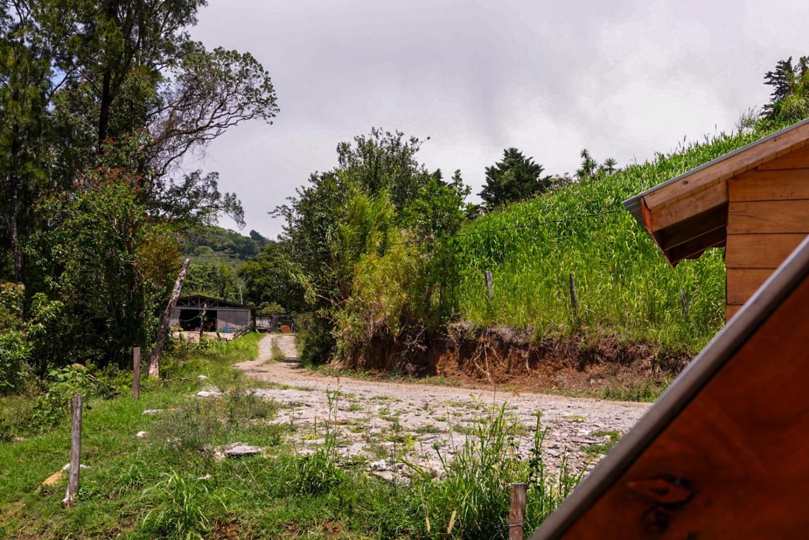 Cabana Indira Monteverde Екстер'єр фото