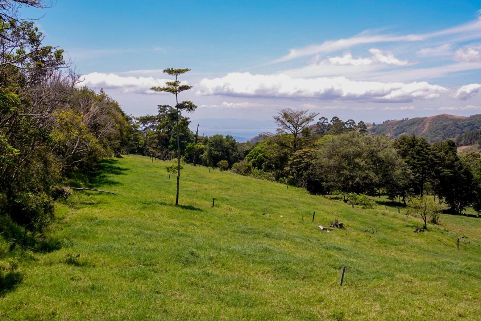 Cabana Indira Monteverde Екстер'єр фото