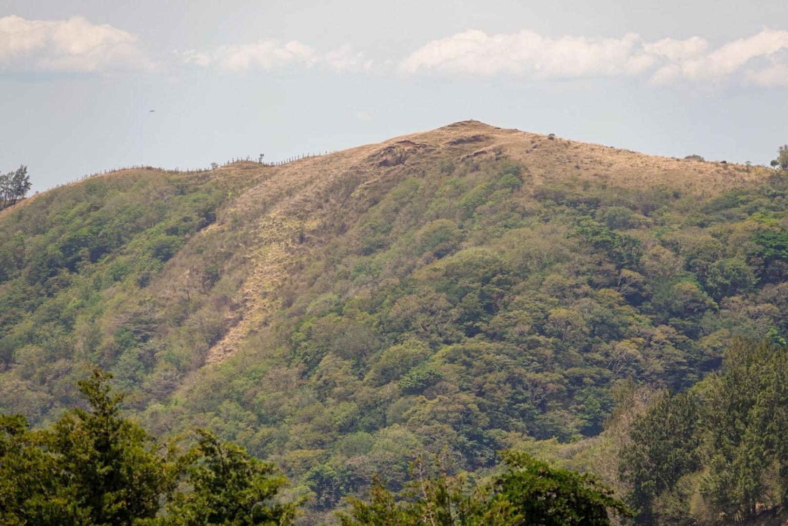 Cabana Indira Monteverde Екстер'єр фото